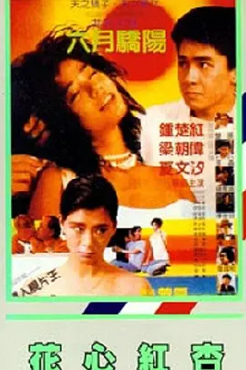 99久久er这里只有精品17