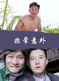 精品久久久久久国产免费了